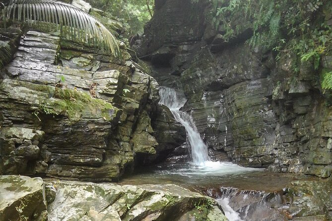 Okinawa Jungle Trails & Waterfalls – Private Yanbaru Tour - Why the Private Format Adds Value