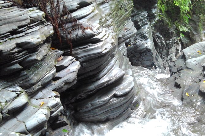 Okinawa Jungle Trails & Waterfalls – Private Yanbaru Tour - A Good Choice for Families and Mixed Groups