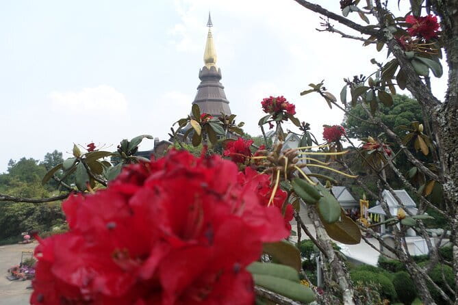 One day Doi Inthanon National Park & Trekking on Kew Mae Pan - Wachirathan Falls adds a welcome change of pace