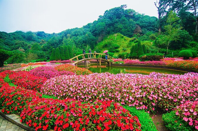 One day Doi Inthanon & Trekking at Pha Dok Siew - Walking Pha Dok Siew for about two hours