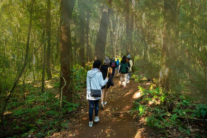 One day Doi Inthanon & Trekking at Pha Dok Siew - A waterfall where you can cool off