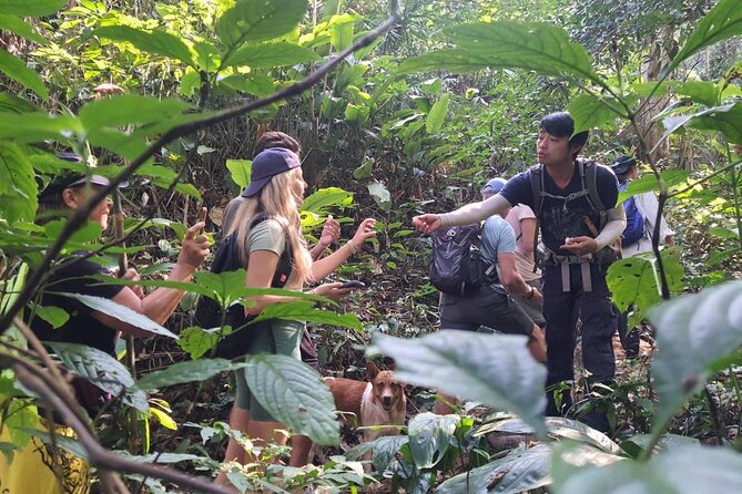 One Day Trekking Chiang Rai Jungle Adventure and Bamboo Cooking - A full day outside Chiang Rai