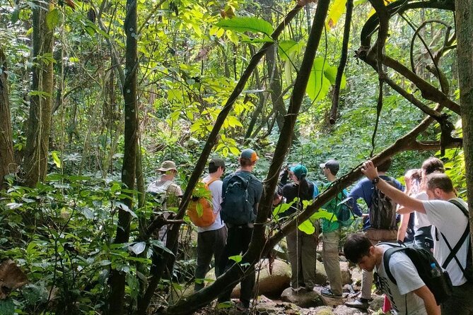One Day Trekking Chiang Rai Jungle Adventure and Bamboo Cooking - Price, transport, and group size