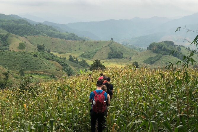 One Day Trekking Chiang Rai Jungle Adventure and Bamboo Cooking - A look at Chiang Rai’s Chinese village