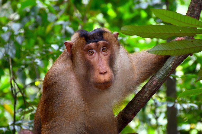 ORANGUTAN TREK (2D/1N) by EcoTravel Bukit Lawang - Getting ready in Bukit Lawang