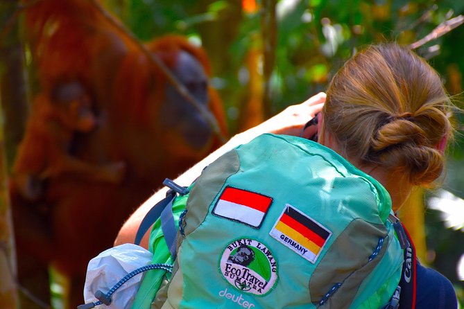 ORANGUTAN TREK (2D/1N) by EcoTravel Bukit Lawang - Hiking toward the river camp
