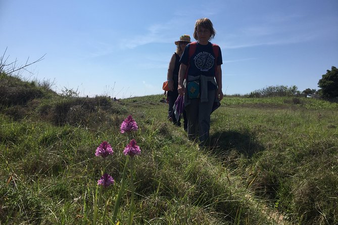 Otranto Trekking Adventure: The Path of the Hermit and the Bay of the Turks - Walking Otranto’s wilder shoreline