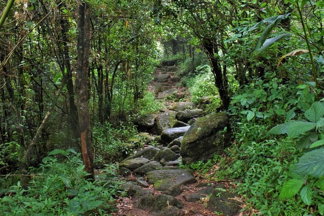 Overnight Adventure Trekking in Knuckles - Key points to know before you book