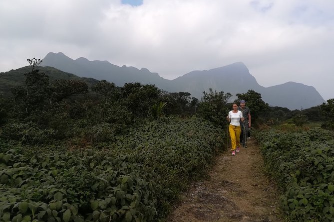 Overnight Adventure Trekking in Knuckles - The 1,856-meter climb on day two