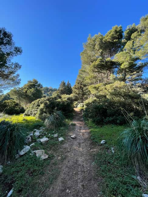 Palermo: Monte Gallo Trekking Tour with Picnic - Key points to know before you book