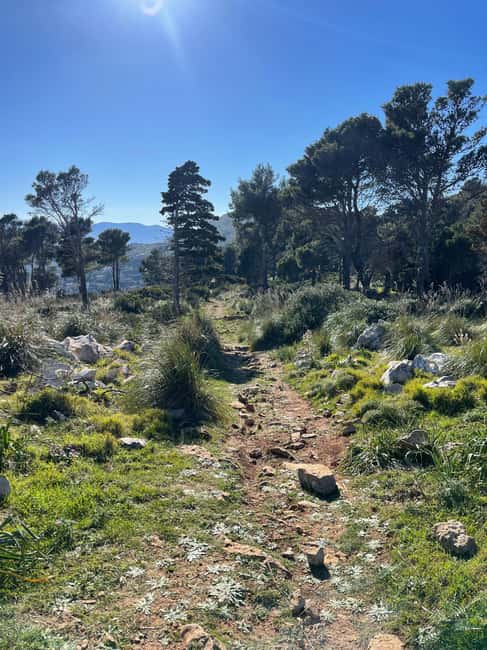 Palermo: Monte Gallo Trekking Tour with Picnic - Three hours on Monte Gallo’s trails