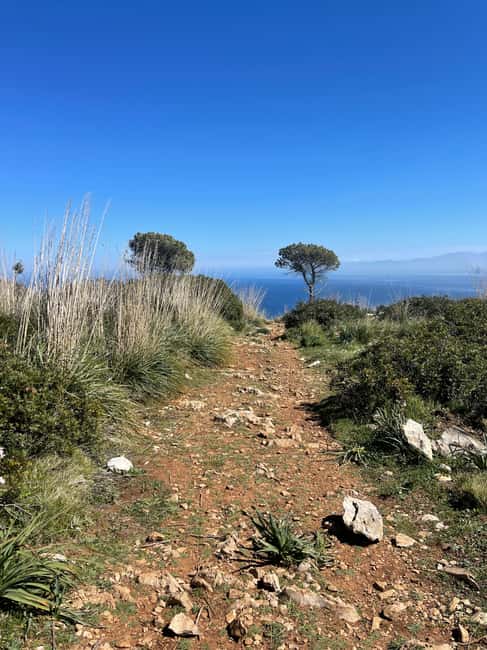 Palermo: Monte Gallo Trekking Tour with Picnic - What $77 buys you
