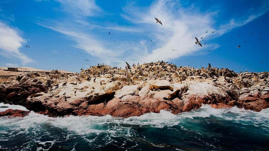 PARACAS|| Sunset trekking in the Paracas National Reserve - Key points to know before you go