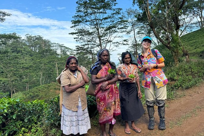 Pekoe Trail Stage 1- Scenic Trek from Hanthana to Galaha - How difficult is the four-hour walk?