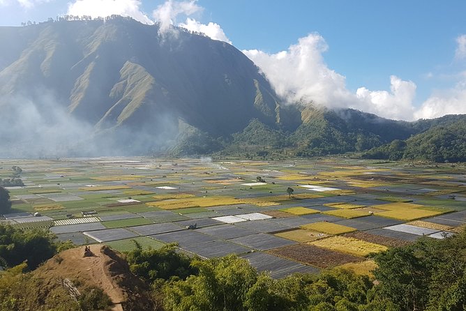 Pergasingan Hill 1.700masl (2D/1N Easy Trekk) - Arrival day: two to three hours to Sembalun
