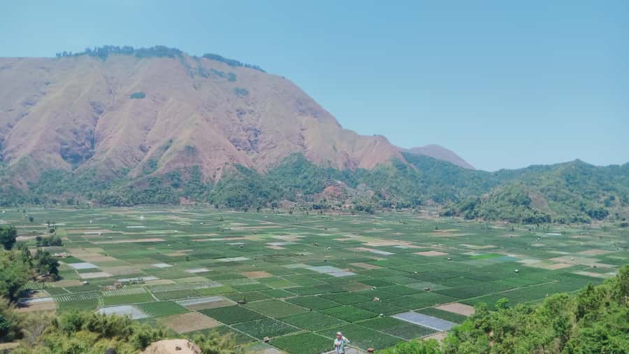 Pergasingan Hill Trek: Unveiling the Beauty of Sembalun - Breakfast at a local warung