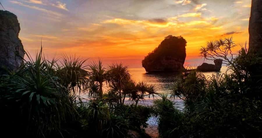 Phi Phi: Guided Jungle Trek & Night Swim with Plankton - The longtail boat and glowing plankton