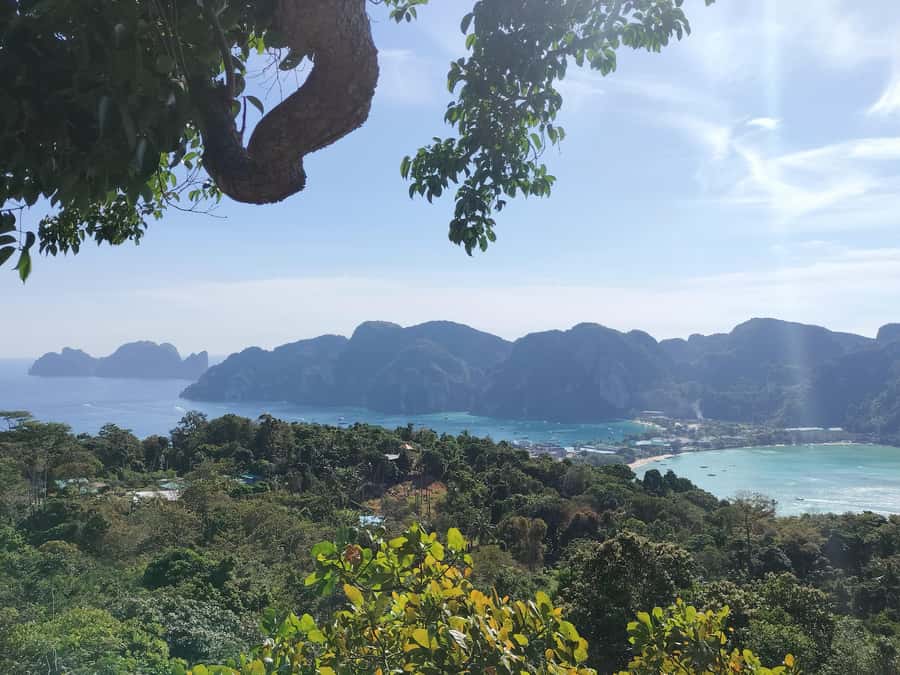 Phi Phi: Guided Jungle Trek & Night Swim with Plankton - What the $68 price covers