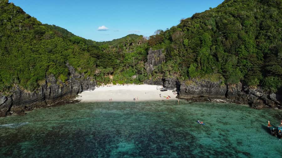 Phi Phi: Guided Jungle Trek & Night Swim with Plankton - Who should book this experience