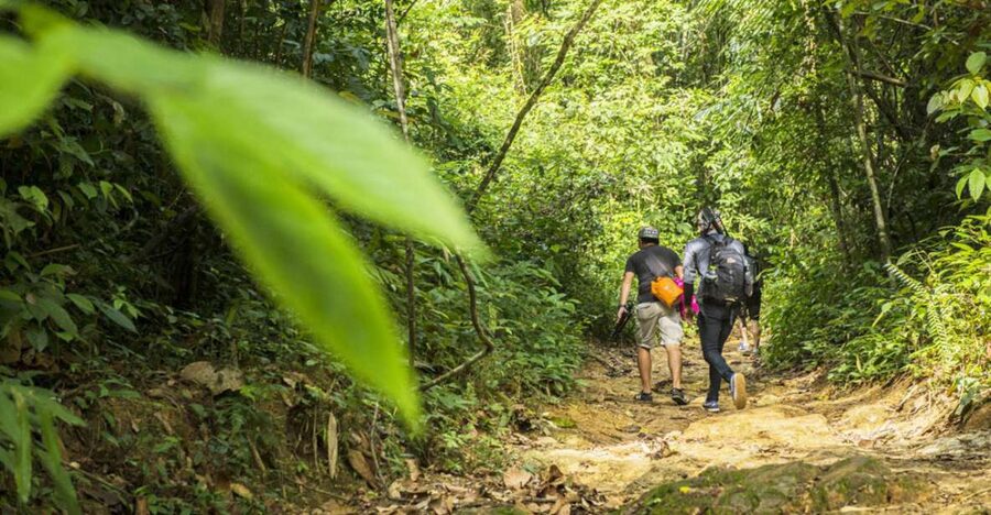 Phuket: Jungle Trekking Experience at Khao Phra Taew - Key points to know before you go
