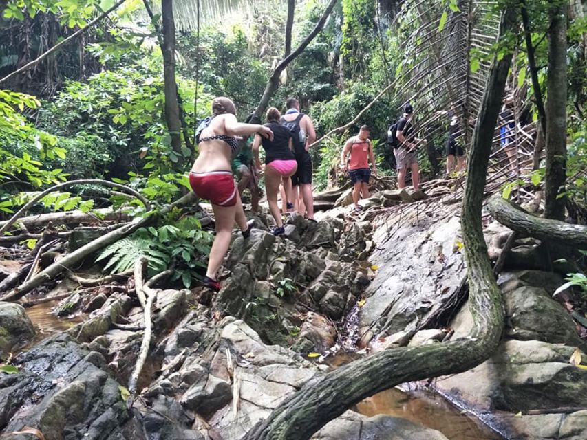 Phuket: Jungle Trekking Experience at Khao Phra Taew - Khao Phra Taew, Phuket’s rainforest escape