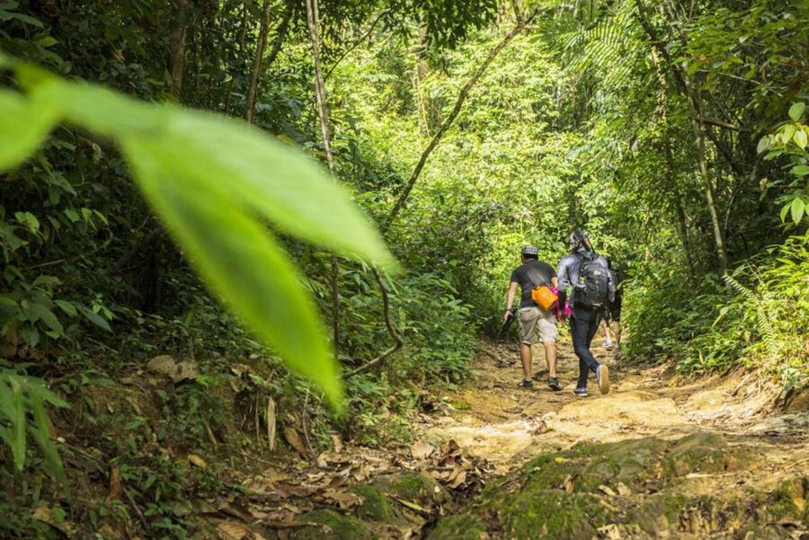Phuket: Jungle Trekking Experience at Khao Phra Taew - Wildlife without the zoo effect