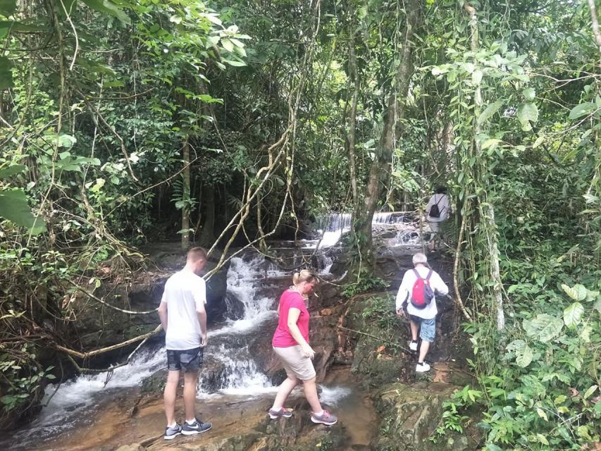 Phuket: Jungle Trekking Experience at Khao Phra Taew - Lunch after the forest walk