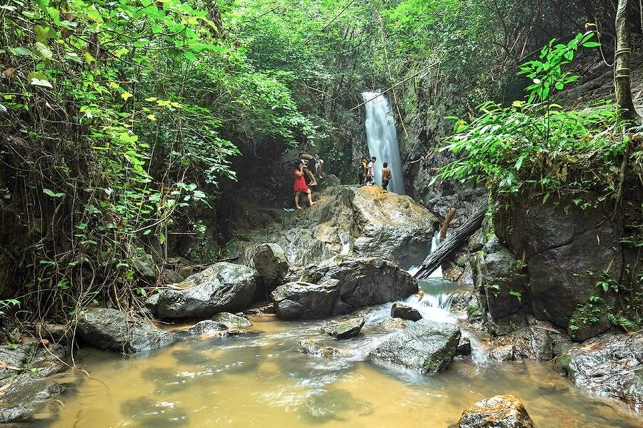 Phuket: Jungle Trekking Experience at Khao Phra Taew - Is $77 a fair price?