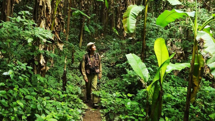 Phuket: Jungle Trekking Experience at Khao Phra Taew - Who will enjoy this forest trek?