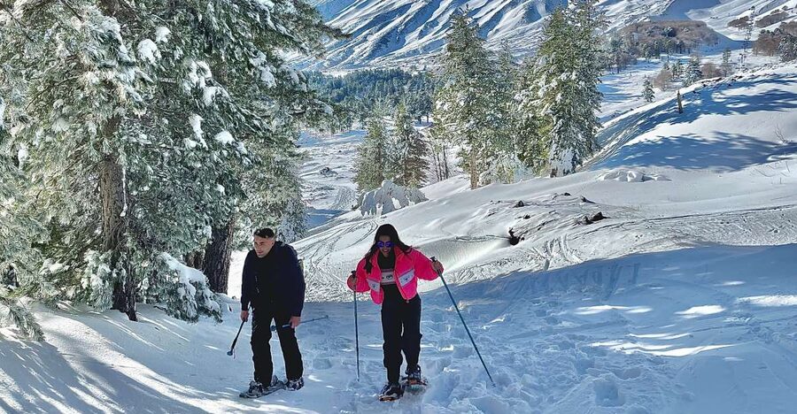 Piano Provenzana: Guided Mt. Etna Snowshoeing Trek - Key points to know before you go