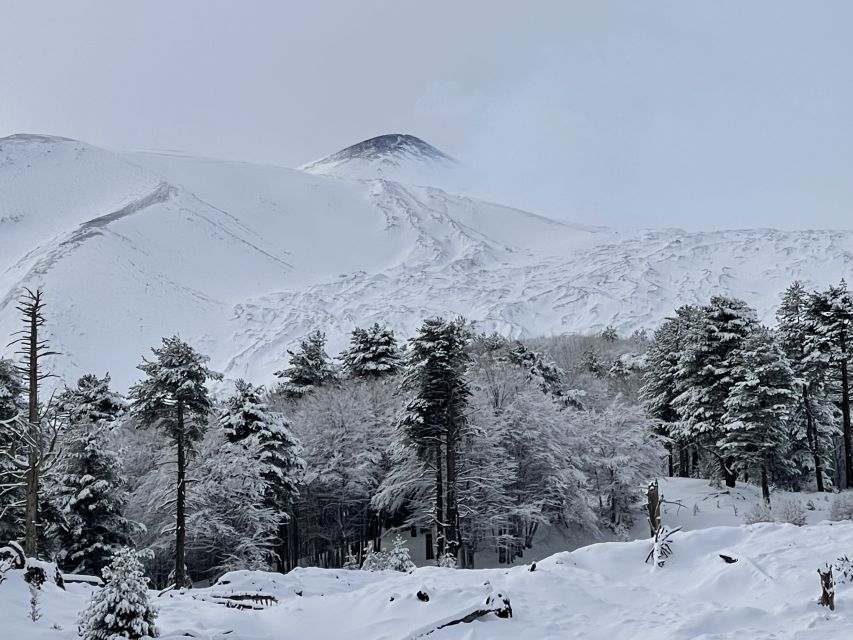 Piano Provenzana: Guided Mt. Etna Snowshoeing Trek - Getting to the meeting point in winter