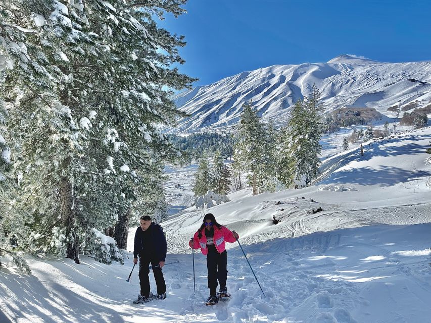 Piano Provenzana: Guided Mt. Etna Snowshoeing Trek - The first views toward Taormina and the sea