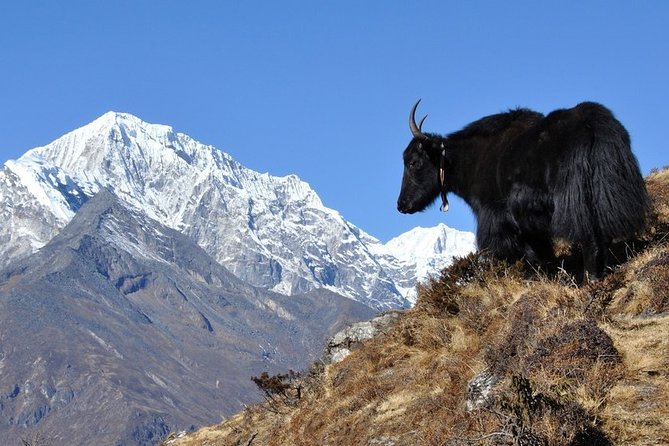 Pikey Peak Trek Everest View - Why Pikey Peak makes a strong Everest-region alternative