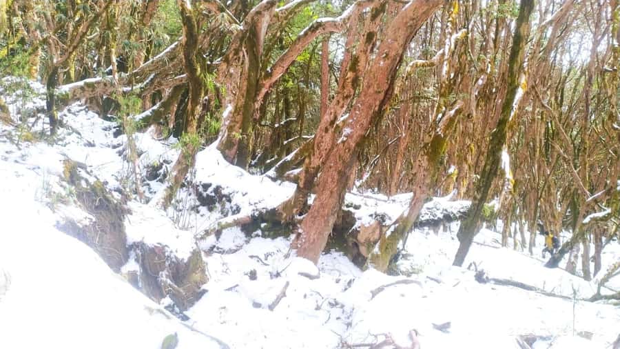 Pkr. Backpacker Group Dep.: 4 Day Mardi Himal Base Camp Trek - Day 4: Siding Village and the return to Pokhara