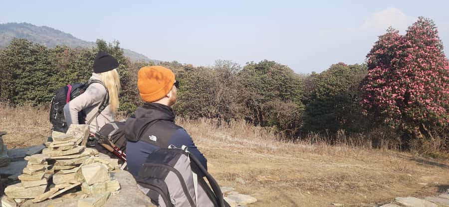Pkr. Backpacker Group Dep.: 4 Day Mardi Himal Base Camp Trek - What the $181 price really covers
