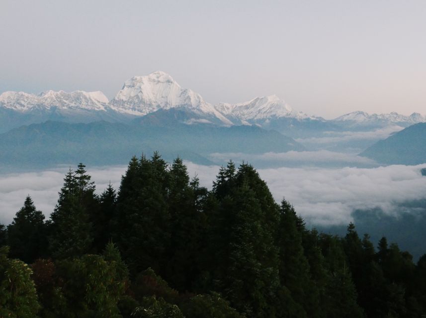 Pokhara: 3-Day Ghorepani and Poon Hill Trek - Day three: sunrise at Poon Hill