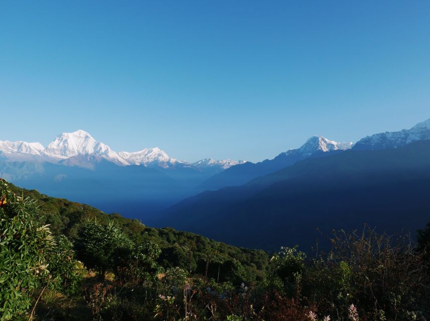 Pokhara: 3-Day Ghorepani and Poon Hill Trek - Tea houses, guides, and the level of comfort