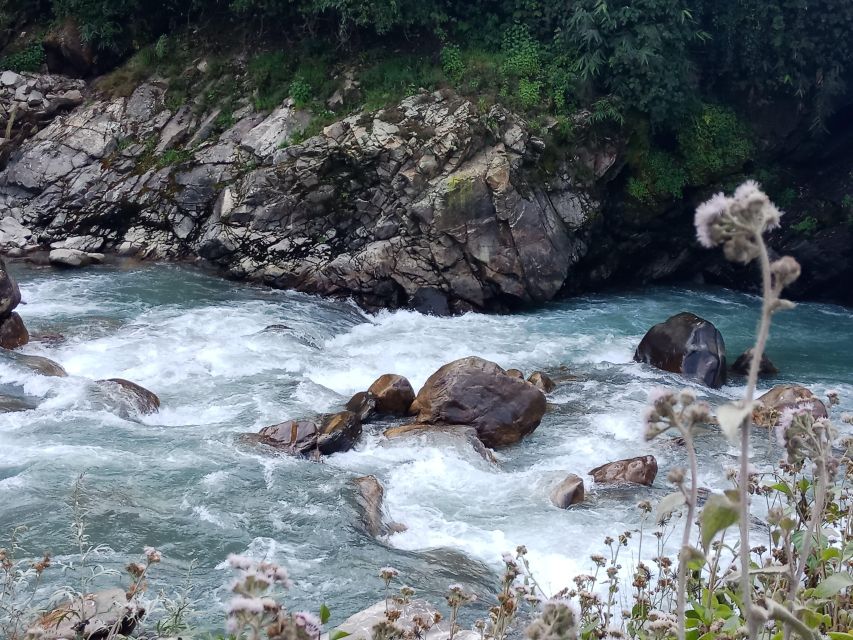 Pokhara: 3-Day Ghorepani, Poon Hill and Ghandruk Guided Trek - From Pokhara to Ulleri, then into Ghorepani