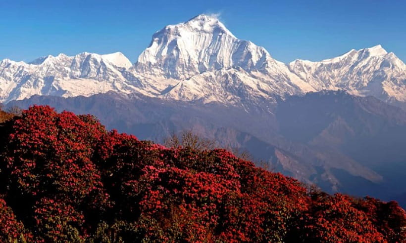 Pokhara: 3-Day Ghorephani and Poon Hill Private Trek - The teahouse experience and local contact