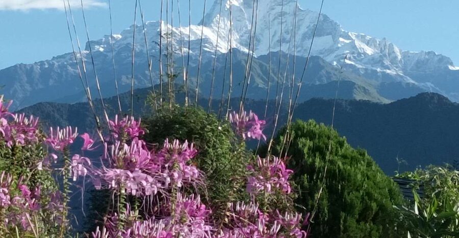 Pokhara: 3-Day Trek - A three-day trek that leaves Pokhara behind