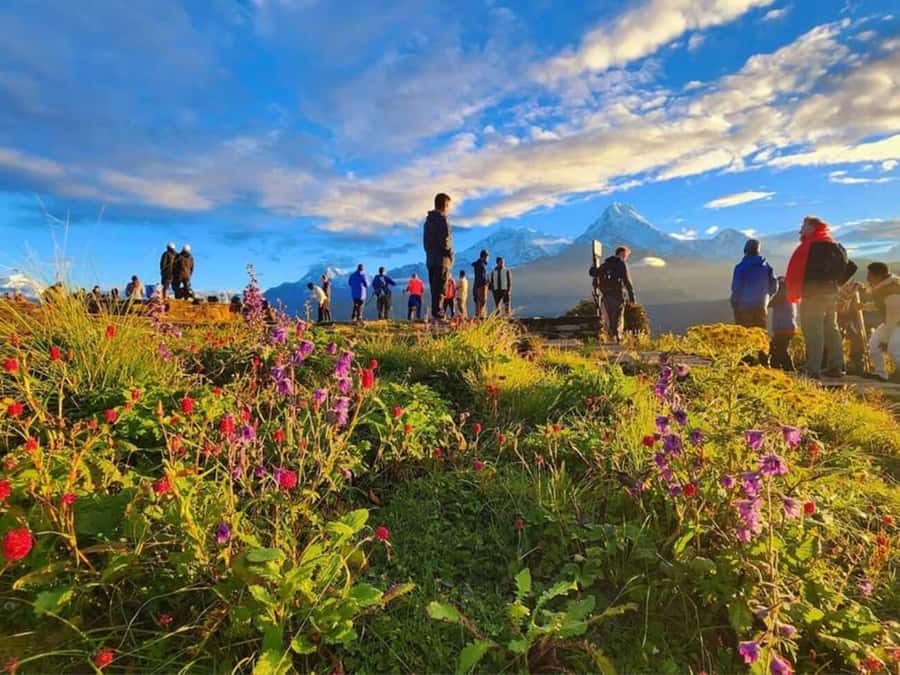 Pokhara: 3- days Poon Hill Trek - Day 3: The pre-dawn climb to Poon Hill