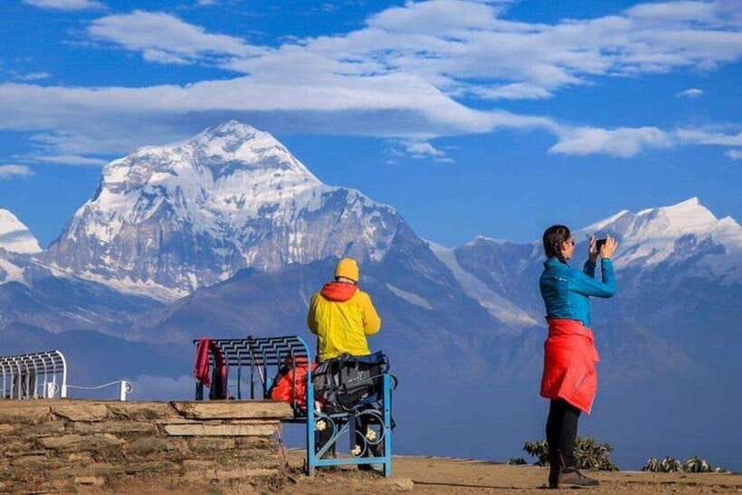 Pokhara: 3 days Trek to Poon hill - Day 2: Ulleri through rhododendron forest to Ghorepani