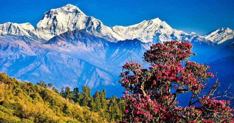 Pokhara: 4-Day Ghorepani, Poonhill & Ghandruk Mountain Trek - Why this short Annapurna trek works so well