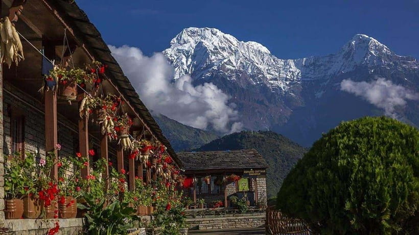 Pokhara: 4-Day Ghorepani, Poonhill & Ghandruk Mountain Trek - Who should book this trek