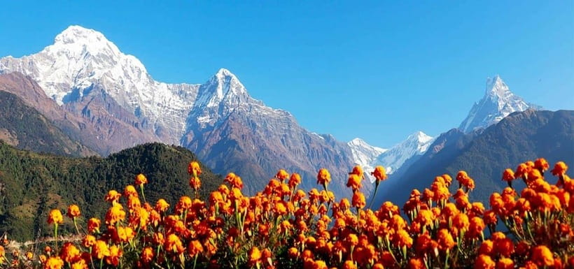 Pokhara: 4-Day Ghorepani, Poonhill & Ghandruk Mountain Trek - From Pokhara to Naya Pul and Ulleri