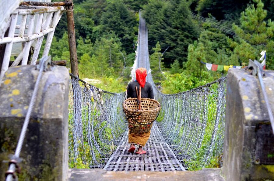 Pokhara: 4-Day Ghorepani, Poonhill & Ghandruk Village Trek - Day 2: Ulleri to Ghorepani through forest and waterfalls