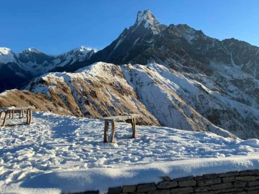 Pokhara: 4-Day Mesmerizing Mardi Himal Guided Trek - Who should choose this trek