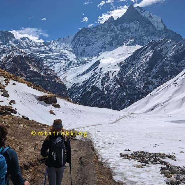 Pokhara: 5-Day Annapurna Base Camp (ABC) Trek - Sunrise at ABC and the descent to Bamboo