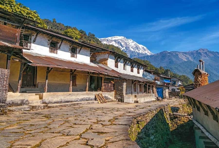 Pokhara: 5 Day Annapurna Base Camp Trek & Natural Hot Spring - Day 4: Morning at ABC, then down to Bamboo