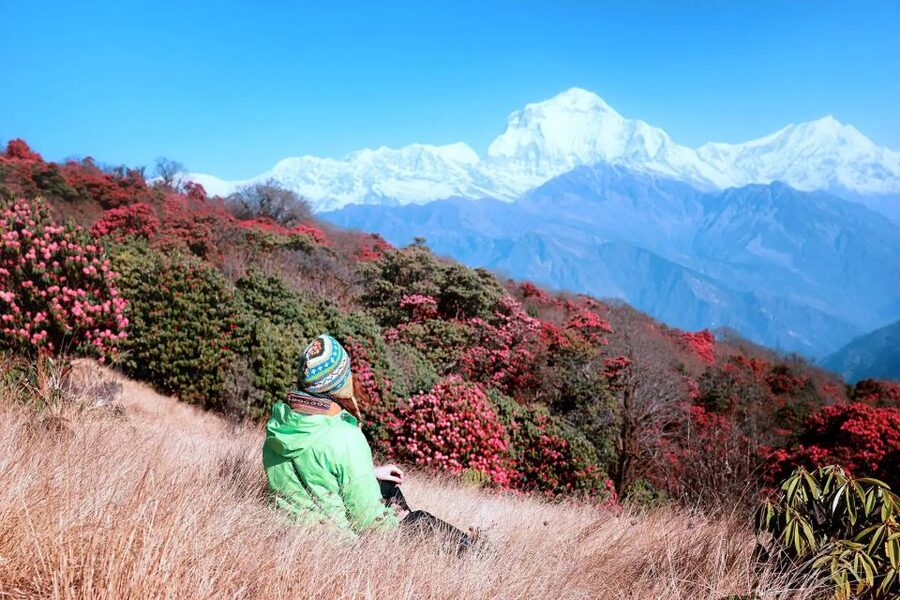 Pokhara: 5-Day Ghorepani and Poon Hill Private Trek - The guide can shape the whole experience